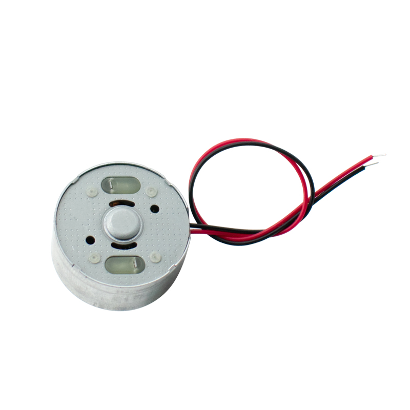  5 Stück R300C DC-Mikromotor, – Hobby Is Science Bewertung und Preis